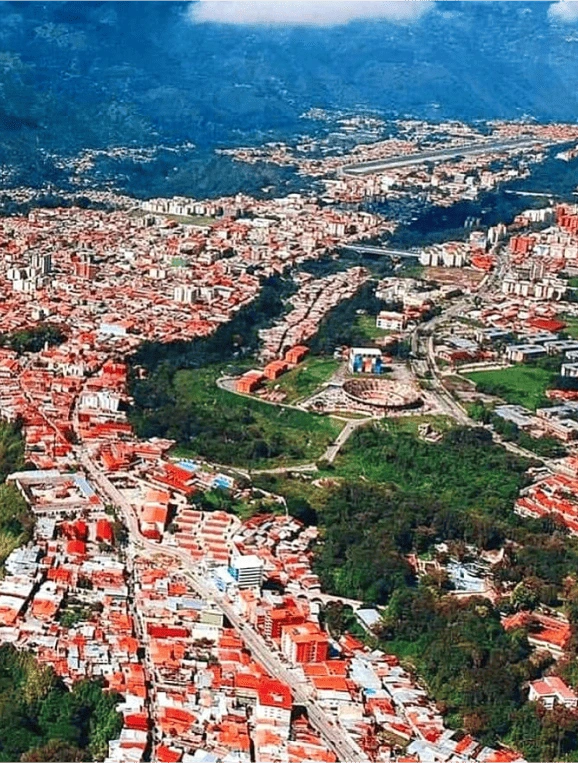 Vertical Image